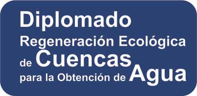 Diplomado