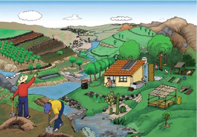 Resultado de imagen para agua para siempre y el impacto que este genera en mexico